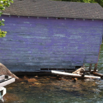 A purple house sitting in the middle of water.