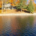 A lake with trees and houses in the background.