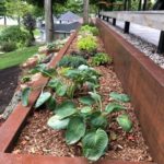 A narrow garden bed featuring lush hostas and various other plants, bordered by a rusty metal edge, adjacent to a wooden deck.